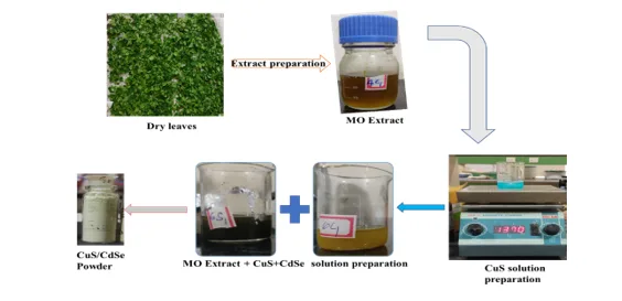 Study of the CuS/CdSe Quantum Dots on the Optical Properties of Green Synthesis 1 02ab5046 1 png