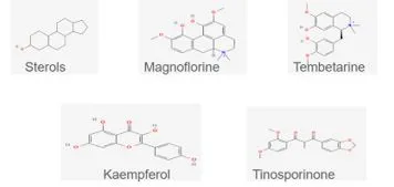 Screening Phytocompounds of Tinospora cordifolia to Find Potential Drug Targets for Cystic Fibrosis 1 04b0b805 capture