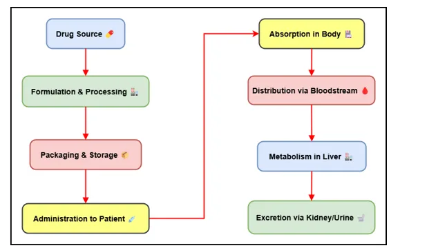 Controlled Release of Anti-Inflammatory Drugs from Biopolymer Matrices 1 079ca359 fi