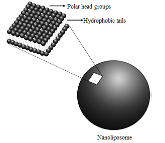 Green Synthesis of Copper Nanoparticle for the Treatment of Neurodegenerative Disease 1 08e0df70 fe