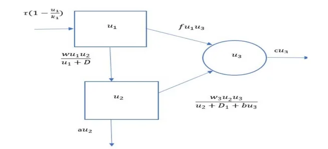 Role of Prey Refuge in Predator-Prey Dynamics with Nonlinear Functional Responses: A Mathematical Approach 1 08e4e46a fi png