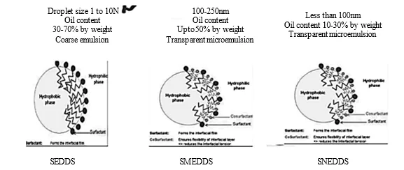 An Insightful Study on SMEDDS Challenges and Potential Strategies 1 0fe1a8d1 fi png