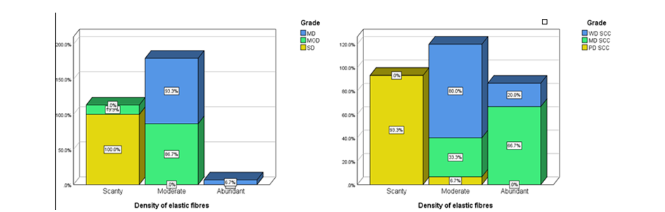 Examining Connective Tissue Changes Across Various Grades of Oral Epithelial Dysplasia and Oral Squamous Cell Carcinoma: A Histochemical Polymeric Investigation 1 11010dfa fig 1