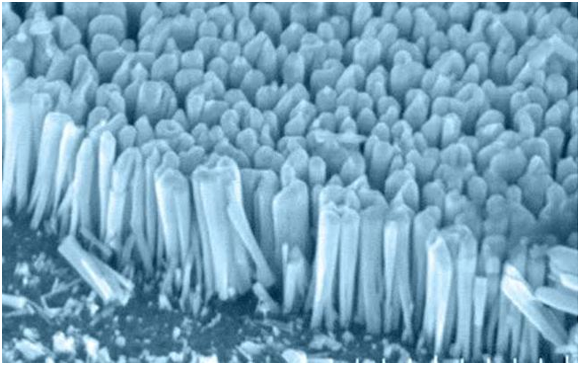 Nanowire Photodetectors and Applications: A Review Study 1 12f60e16 duheyd