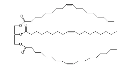 Synthesis, Characterization and Antibacterial Evaluation of Novel Canola Oil-Based Poly-(Citrate/Succinate)-amide Incorporated with Zn (II) and Ni (II) Metal Ions 1 18acf5d5 fi1 png