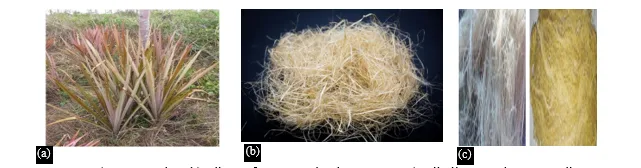 Mechanical and Environmental Performance of Curaua Fiber Composites: A Sustainable Alternative to Wood and PVC 1 1983713e fi png