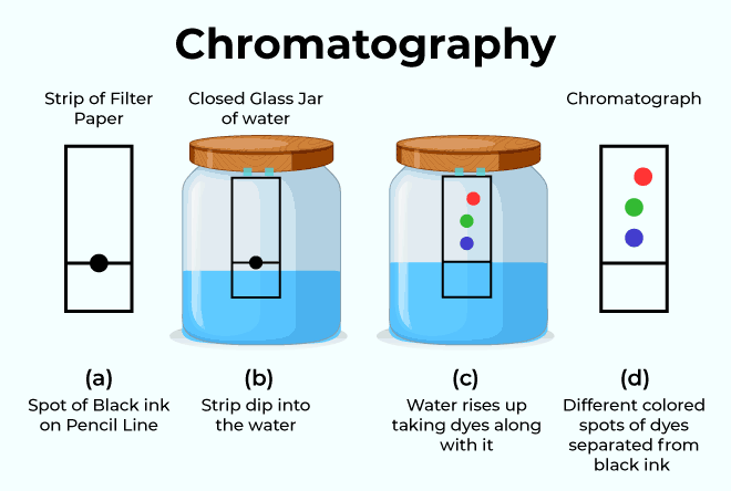 Preparation of New Analytical Reagents and Study of Chromatographic Separation 1 1bea78c5 chromatography 1