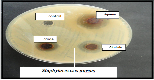 The Effect of Alcoholic, Aqueous and Crude Extracts of Lemon citrus Seeds on Staphylococcus and Klebsiella Bacteria 1 1f4c1d60 fi
