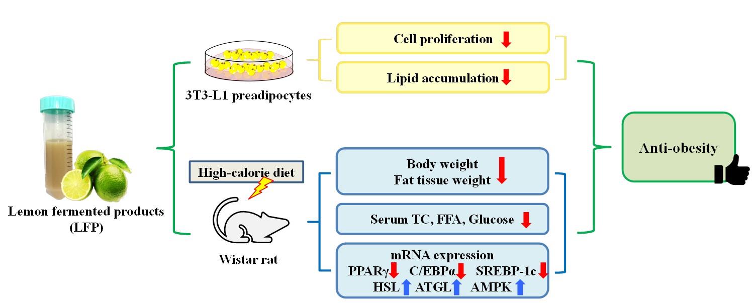 Evaluation Of Anti Obesity Activity Of Citrus Sinensis & Citrus Limon By High Fat Diet Induced Model Using Danio Rerio 1 26c4b77b image