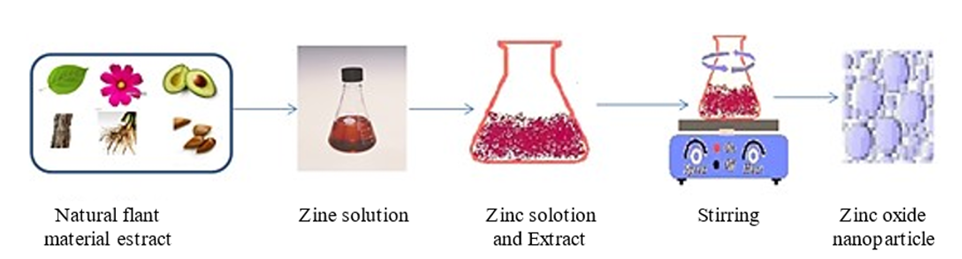Zinc Oxide Nanoparticles from Murayya koenigii: Antibacterial Potential Review 1 3111631c fw