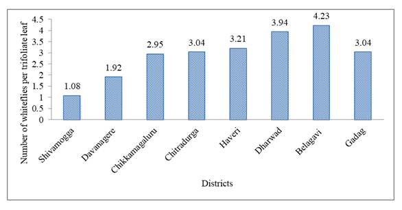 Status of Sucking Insect Pests and Yellow Mosaic Disease Incidence in Major Greengram, (Vigna radiata) Growing Districts of Karnataka 1 31711df3 figure 1