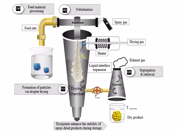 Carboxymethyl Cellulose-Based Spray-Dried Microspheres: Recent Advances and Applications in Targeted Drug Delivery Systems 1 324c833f fi