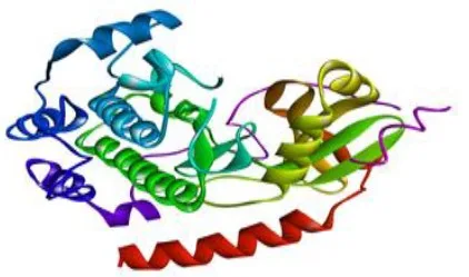 Anti-hyperglycemia Effects of Plant Secondary Metabolites Towards PKA/CREB Pathway Activation in Diabesity 1 3454a216 bhumica jpg