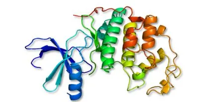 Anticancer Activity of Calotropis procera by Molecular Docking Analysis 1 3bb51144 capture