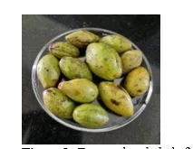 Investigating the Role of Moisture in the Physical Properties of Harra (Terminalia chebula) Fruit 1 3f881af1 inv