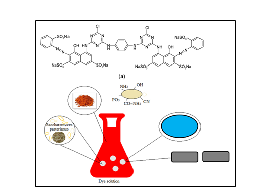 Biosorption In Polymer Composites: Harnessing the Potential of Natural Materials for Enhanced Mechanical Properties and Efficient Medical Device Fabrication 1 406b6474 fi1