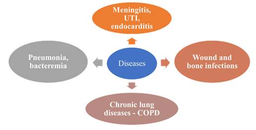Impact of Therapeutics on Carbapenem-Resistant Acinetobacter baumannii 1 419edf1a screenshot 2024 07 03 154233