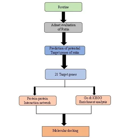 Integrating Network Pharmacology and Molecular Docking to Assess Rutin’s Pharmacological Properties 1 472a524b capture