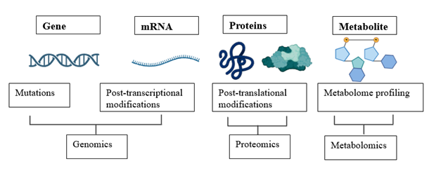 Metabolites in Modern Medicine: Decoding the Future of Health and Diseases 1 4750f7f9 screenshot 2024 08 17 174813
