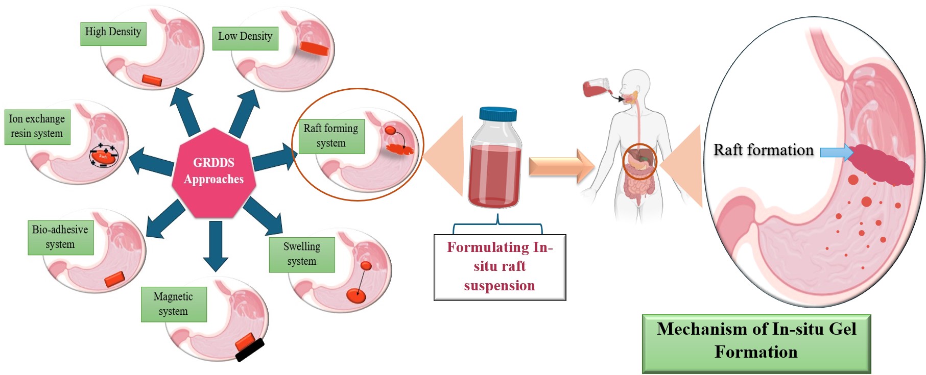 Revolutionizing Gastro-retentive Drug Delivery: Exploring Innovative Formulation Strategies and Mechanisms in Floating in Situ Gel Raft Forming System 1 48a60501 1