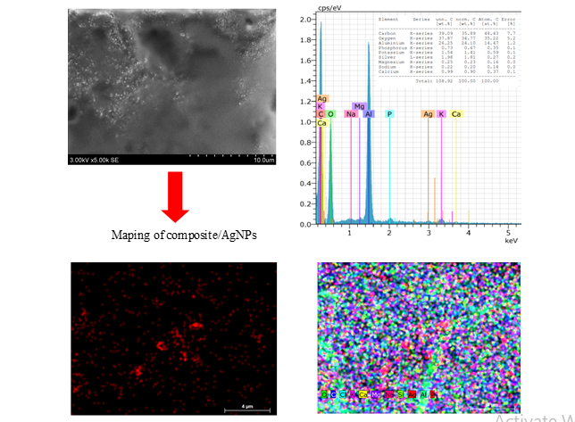 Properties and antimicrobial activity of bacterial nanocellulose composite incorporated with silver nanoparticles based on green synthesis 1 49dedd2a fi