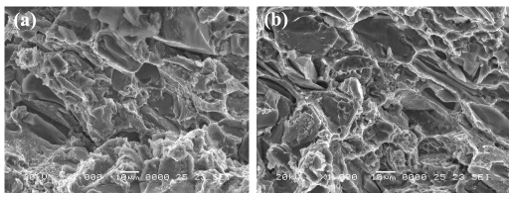 Fracture behavior of 2124Al- 10vol% SiCp composite tensile specimens for different heat treatment conditions 1 50380b0e capture