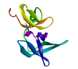 In Silico Exploration of Podophyllum Hexandrum-Derived Phytocompounds as Potential Therapeutics Against Small Cell Lung Cancer (SCLC): A Molecular Docking Approach 1 50612b34 capture