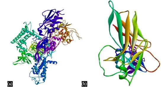 Molecular Pharmacokinetics and Structural Docking of Phenolic Acids for Targeting NF-κB Pathway Components in Inflammation and Fibrosis: A Computational Approach Toward Therapeutic Discovery 1 58f5d5a0 capture