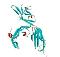 Molecular Docking of Saraca asoca (Ashoka) Phytocompounds for Ovarian Cancer Therapy 1 62f4964a capture