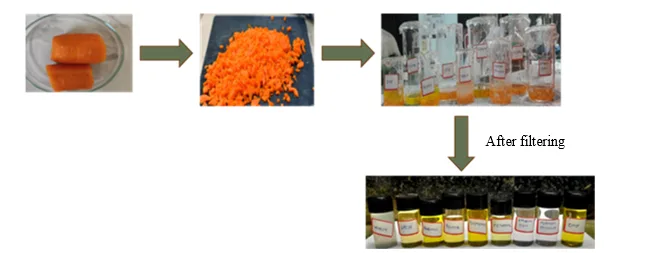 A Study on Solvent Interaction and Thermal Transport of β-Carotene 1 66e67164 fi png
