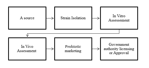 Application of Some Essential Bacterial Probiotics in Aquaculture: A Review 1 6ab20ab2 11