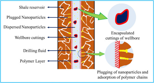 A Ponder & Sedulousness Of Legion Shale Stabilizing Materials In Aqueous Based Drilling Fluid During The Process Of Borehole Strengthening 1 6d9b5922 1 s2.0 s092041052100423x gr13