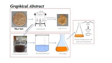 Production of n-Butanol from Biomass by Two Step Fermentation Process Using Staphylococcus Sciuri 1 76f26b32 capture 1