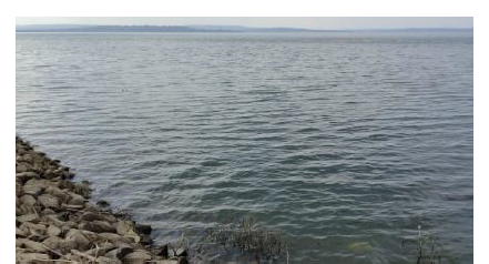 Studies on Zooplankton Diversity of Manar Reservoir with Selected Physico-Chemical Parameters, Maharashtra 1 7f7586de fi