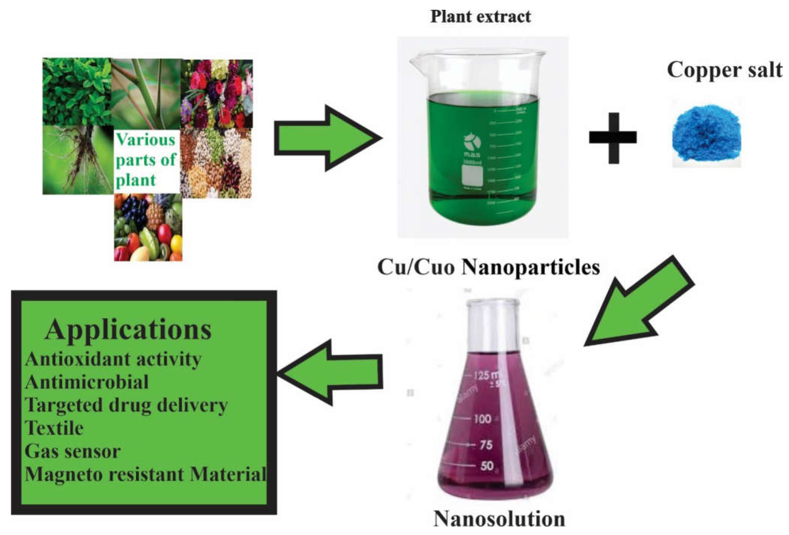 Antioxidant activity of Passiflora foetida leaf extracts and silver nanoparticles in diabetic induced rats 1 8522ec70 coatings 11 01374 g008 scaled