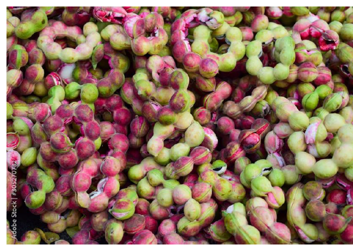 A Systemic Review: Pithecellobium dulce (Jangal Jalebi) 1 85f5c3d7 fi