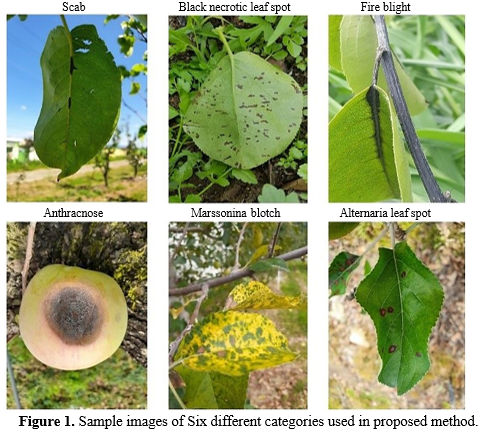 Plants Disease Detection Using TensorFlow and OpenCV 1 8d06aecb 5