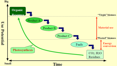 Optimizing Microbial Consortia for Enhanced Biofuel Production: A Metabolic Engineering Approach 1 8f31c9e5 ff