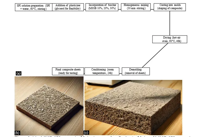 Biochar-Filled Soy Protein Composites: Evaluating Thermal and Mechanical Properties for Sustainable Polymer Applications 1 945c6839 fi