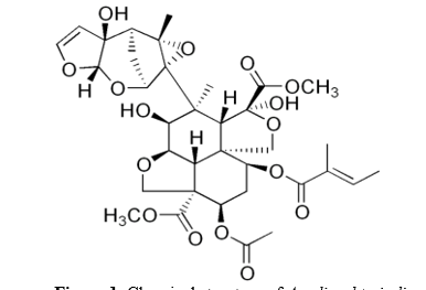 Mapping the Landscape of Neem Tree Research: Insights into Chemicals and Polymers through Bibliometric Exploration 1 97dfaade fig 1
