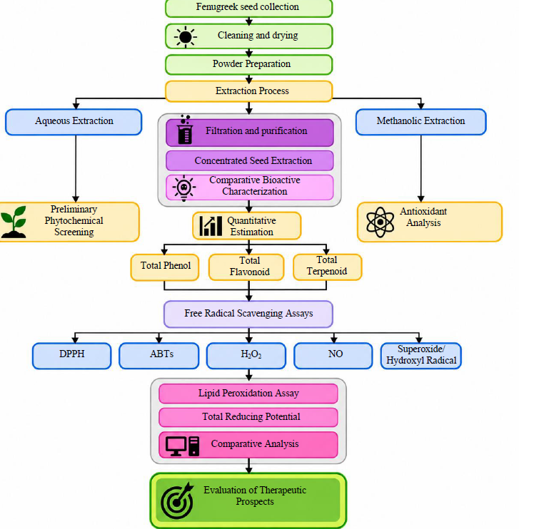 Therapeutic Prospects and Comparative Bioactive Evaluation of Fenugreek Seed Extracts 1 983717a1 fi