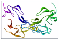Molecular Docking Studies of Nyctanthes arbor-tristis Phytochemicals for Targeting TNF Receptor in Arthritis 1 9c3d4a18 ext protein