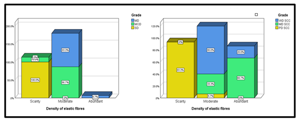 Examining Connective Tissue Changes Across Various Grades of Oral Epithelial Dysplasia and Oral Squamous Cell Carcinoma: A Histochemical Polymeric Investigation 1 a5b565b4 f2