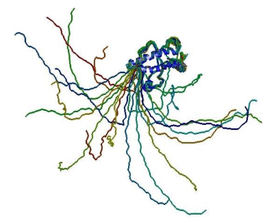 Valeton Phytoconstituents from Curcuma Phaeocaulis as Prion Protein Mutant V210I Inhibitors: A Computational Docking and Virtual Screening Study 1 a82b19e8 fe