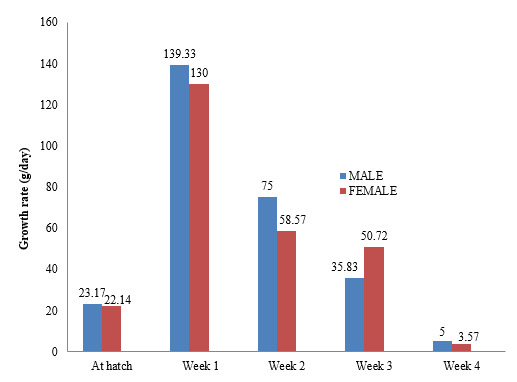 Performance Characteristics of Pigeons (Columba Livia Domestica) Reared Under Deep Litter System in Ghana 1 abb1ff34 figure1