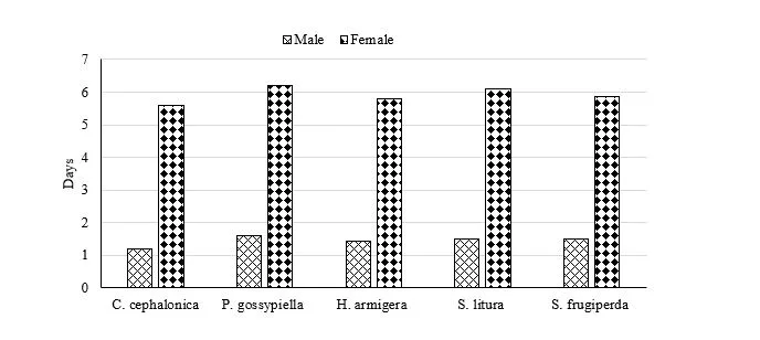 Host Suitability of Trichogrammatoidea Bactrae Nagaraja on Different Host Eggs 1 ac4f1669 host