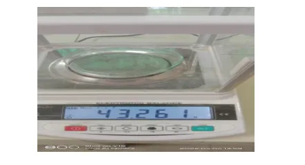 Development And Quality Evaluation of Energy Ball Sing Oats and Pumpkin Seed 1 acc0cb0a capture l png