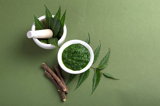 Exploring the properties and extraction of neem leaves 1 acf1700c neem