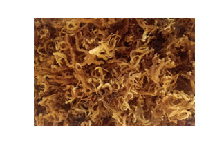 Development of Shelf-stable Oral Rehydration Drink with Whey and Red seaweed (Kappaphycus alvarezii) 1 b0a344b4 fig