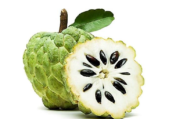 Formulation And Evaluation of Peel Off Mask From Custard Apple 1 b1b13cfa fi
